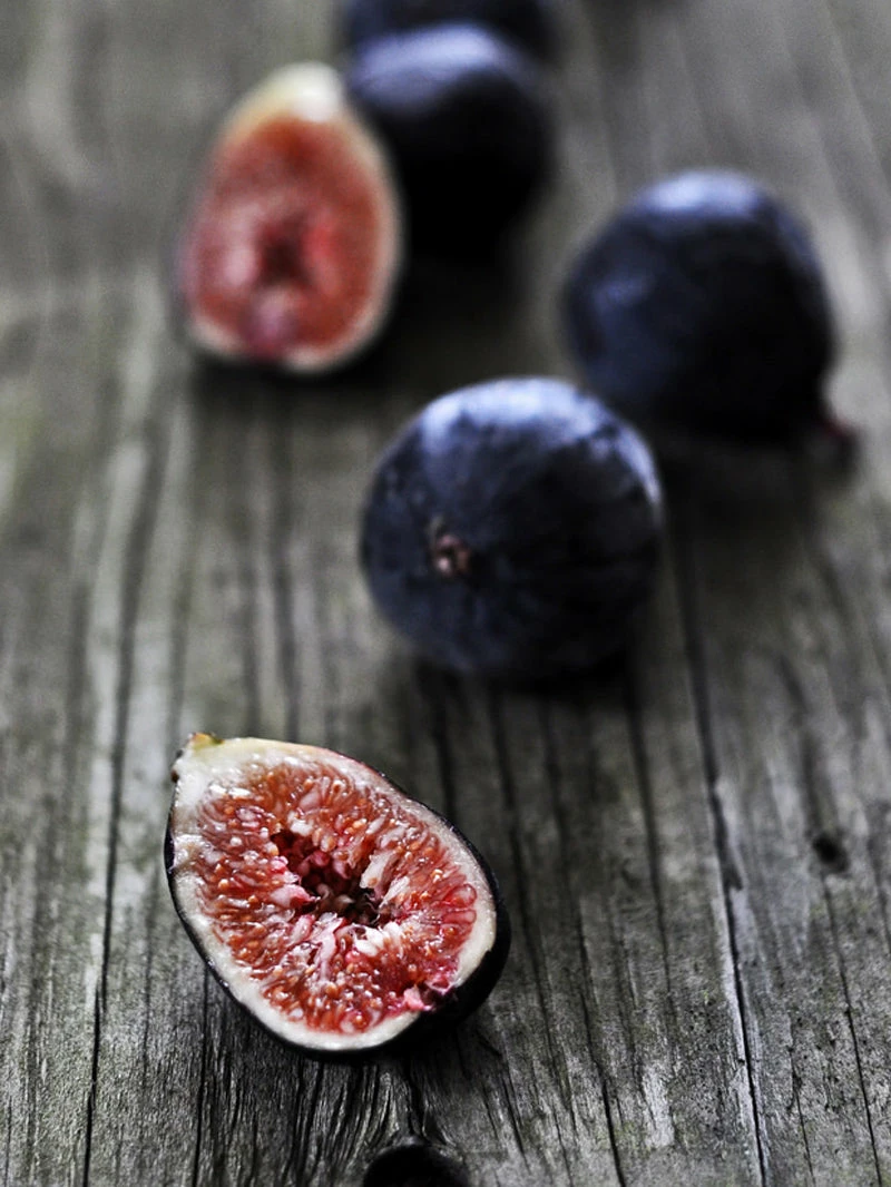 SN FRUIT COLLECTION Fig Trees - Black Mission