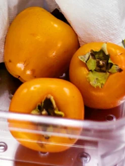 SN Persimmon Trees - Giombo (Astringent) FRUIT COLLECTION