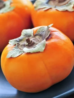 SN Persimmon Trees - Ichi Ki Kei Jiro (Non-Astringent) FRUIT COLLECTION