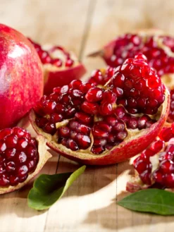 SN FRUIT COLLECTION Pomegranate Trees - Parfianka