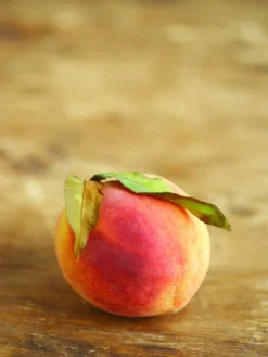 SN Peach Trees - Early Elberta