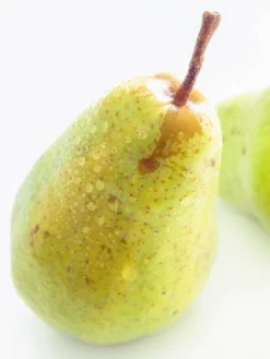 SN Pear Trees - Orient