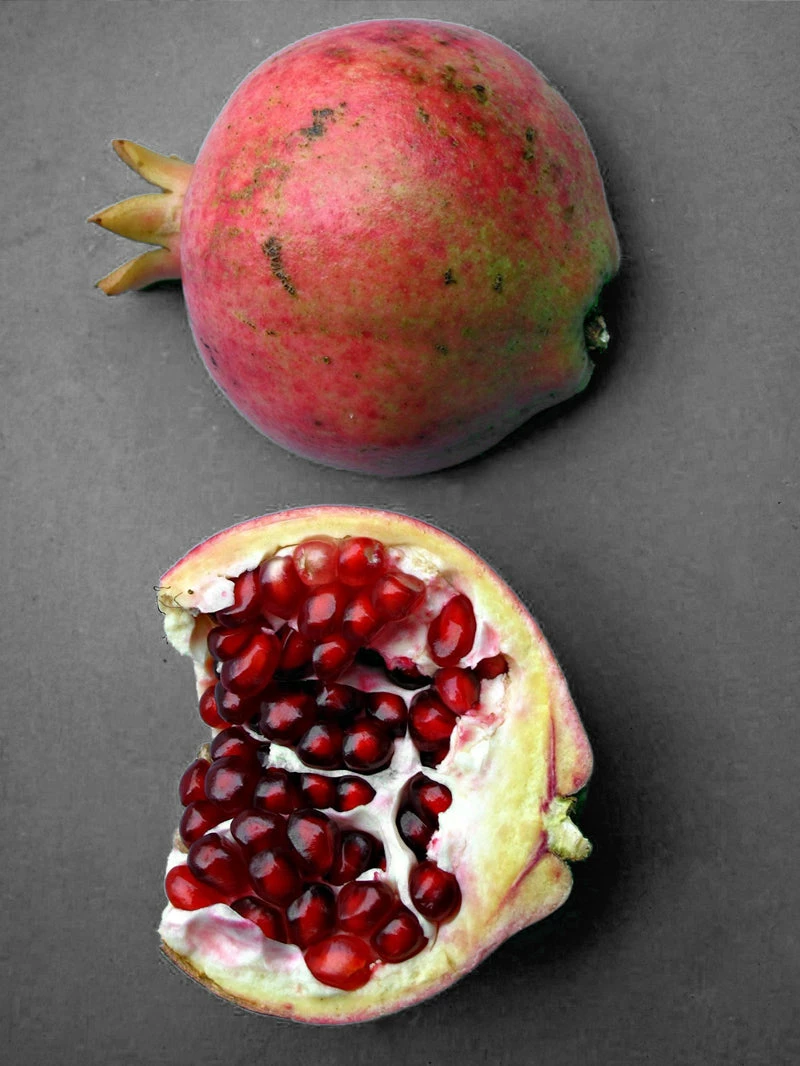 SN FRUIT COLLECTION Pomegranate Trees - Salavatski