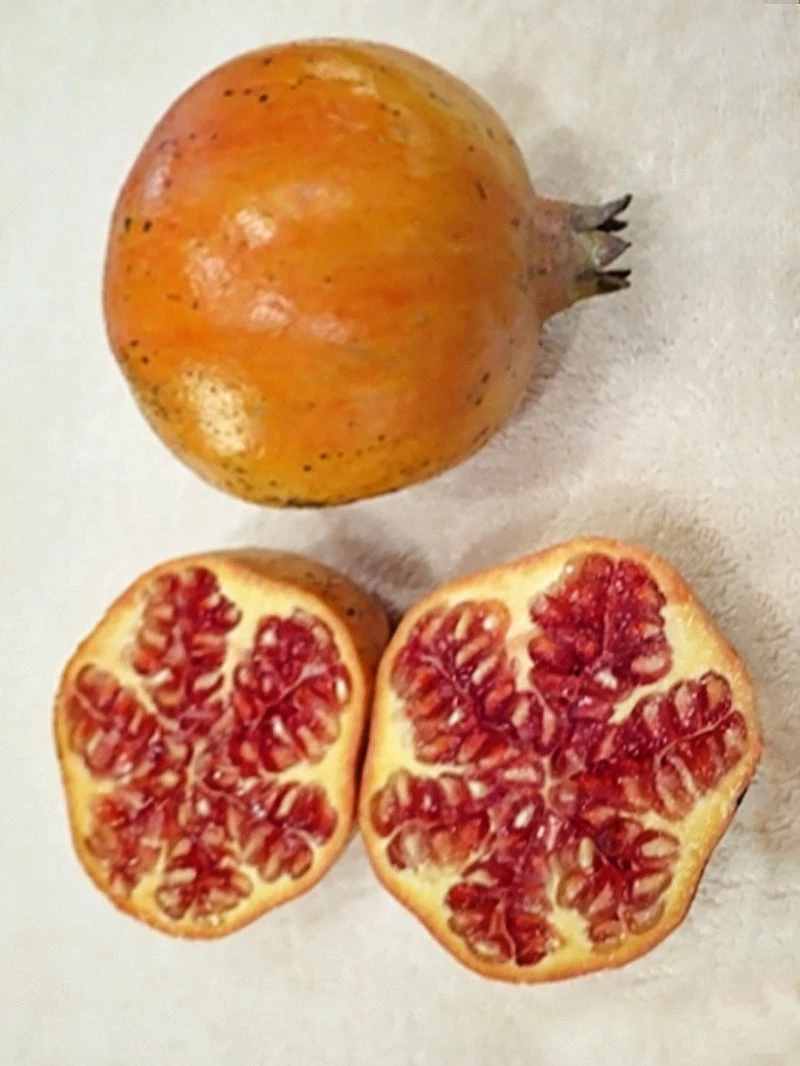 SN Pomegranate Trees - Sirenevyi