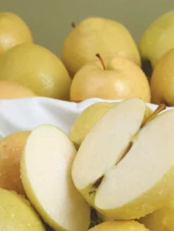 SN Apple Trees - Ein Shemer