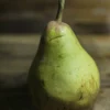 SN Pear Trees - Flordahome