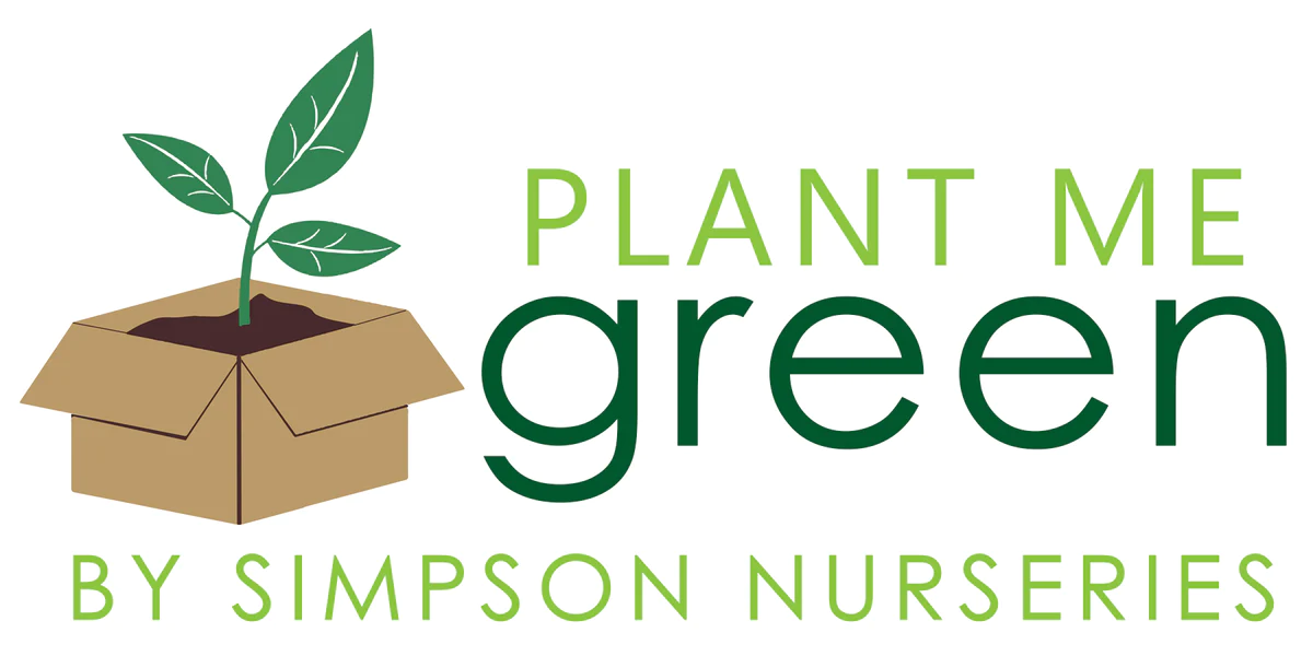 Plant Me Green Official Shop